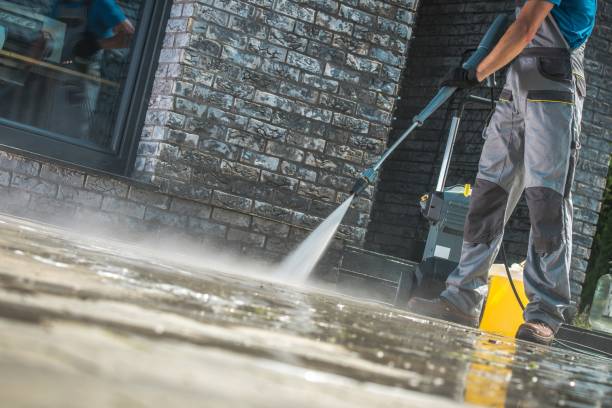 Best Solar Panel Cleaning  in Oglesby, IL