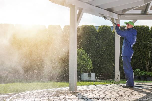 Best Sidewalk and Walkway Cleaning  in Oglesby, IL