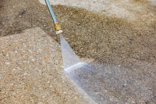 Best Fleet Vehicle Washing  in Oglesby, IL