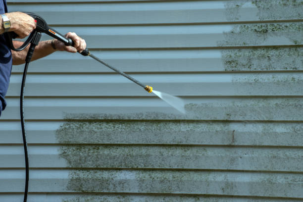 Best Parking Lot and Garage Cleaning  in Oglesby, IL