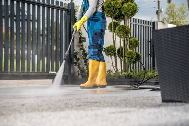 Best Patio and Deck Pressure Washing  in Oglesby, IL